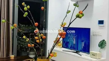 Căn hộ 1PN 50m2 đầy đủ nội thất view thoáng The Gold View