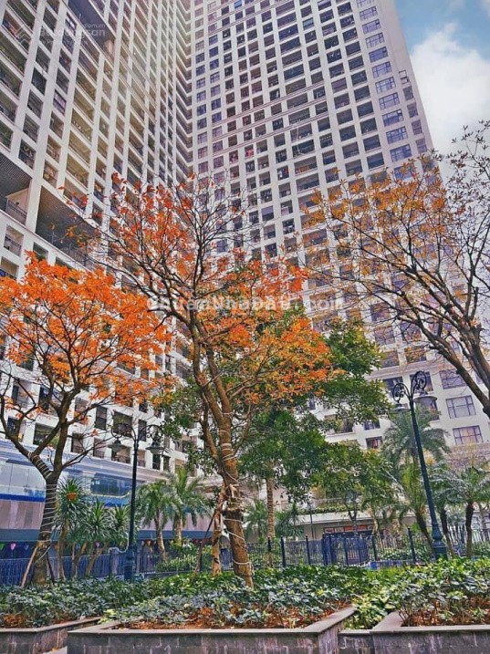 Bán 1 ngủ giá 3.8tỷ DT 50m2 phố Minh Khai Sunshine Garden (cạnh Time City) E. Minh Anh 0944 394 ***