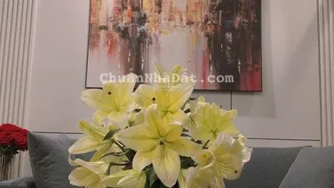 Tôi bán căn Studio 33m2, đủ nội thất chung cư Symphony, giá 3.4 tỷ bao thuế phí.