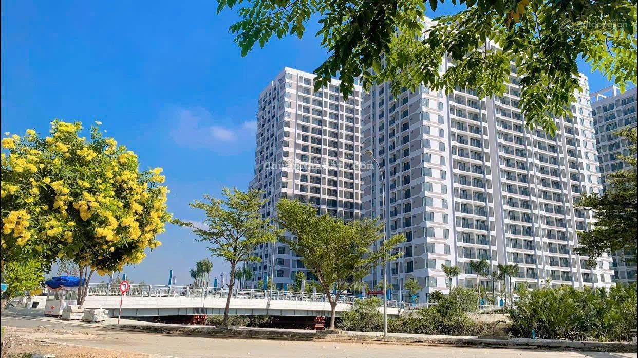 Cho thuê căn hộ MT 63m2, view hồ bơi, rèm + 1 máy lạnh, giường, tủ, bàn ăn, bếp, máy hút mùi 6,5tr