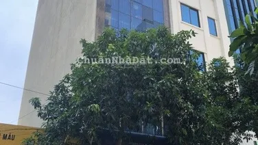 Cho thuê nhà phố Vạn Phúc - Hà Đông, 95m2 x 7 tầng, 1 hầm, MT: 6m. Thông sàn, thang máy, PCCC