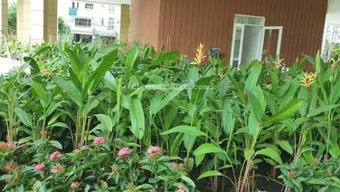 Căn hộ Valeo Đầm Sen 102m2 3PN 2WC, nhà có NT giá 5.35 tỷ TL - Văn phòng tại dự án - không ảo giá