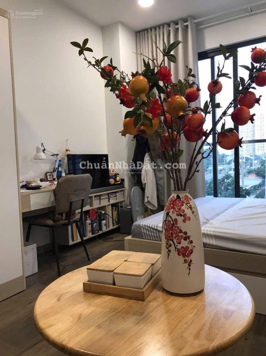 Giỏ hàng độc quyền bán căn hộ OT sổ hồng lâu dài The Pegasuite 2