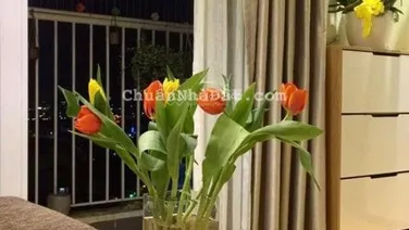 Bán CC I-Home 1, Phạm Văn Chiêu, 1,73 tỷ, 47m2, 2PN, 1WC, hướng Đông Nam