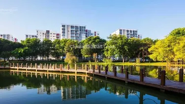 Rổ hàng cho thuê giá tốt nhất Celadon City ngay Aeon Tân Phú từ 7tr - 25tr tuỳ loại căn